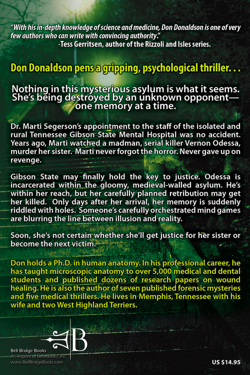 The Memory Thief   back cover PROOF